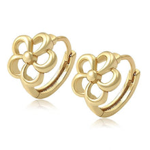 Load image into Gallery viewer, 14 K Gold Plated earrings - BIJUNET