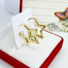 Load image into Gallery viewer, 14 K Gold Plated earrings - BIJUNET