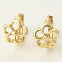 Load image into Gallery viewer, 14 K Gold Plated earrings - BIJUNET