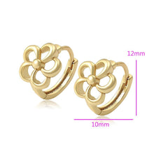 Load image into Gallery viewer, 14 K Gold Plated earrings - BIJUNET