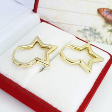 Load image into Gallery viewer, 14 K Gold Plated earrings - BIJUNET