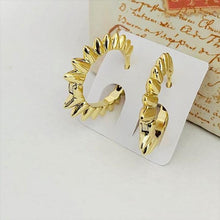 Load image into Gallery viewer, 14 K Gold Plated earrings - BIJUNET