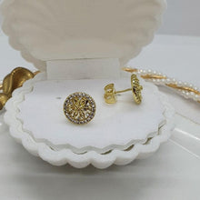 Load image into Gallery viewer, 14 K Gold Plated earrings with white zirconium - BIJUNET