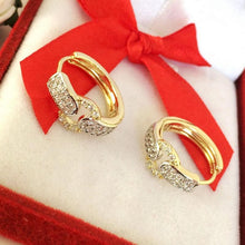 Load image into Gallery viewer, 14 K Gold Plated earrings with white zirconium - BIJUNET