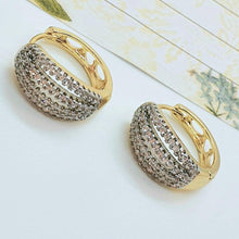 Load image into Gallery viewer, 14 K Gold Plated earrings with white zirconium - BIJUNET