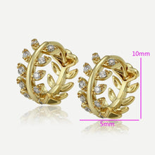 Load image into Gallery viewer, 14 K Gold Plated earrings with white zirconium - BIJUNET