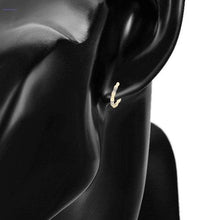 Load image into Gallery viewer, 14 K Gold Plated Hoop earrings with white zirconia - BIJUNET