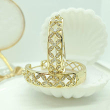 Load image into Gallery viewer, 14 K Gold Plated Hoop earrings with white zirconium - BIJUNET
