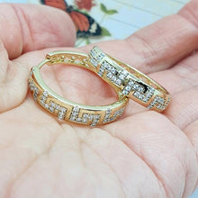 Load image into Gallery viewer, 14 K Gold Plated Hoops earrings with white zirconium - BIJUNET