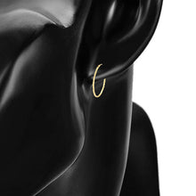 Load image into Gallery viewer, 14 K Gold Plated Hoops earrings