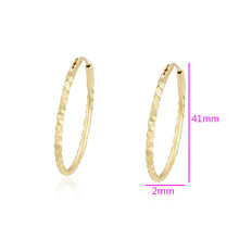 Load image into Gallery viewer, gold_plated_hoops_earrings