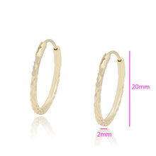 Load image into Gallery viewer, 14 K Gold Plated Hoops earrings
