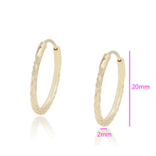 Load image into Gallery viewer, 14 K Gold Plated Hoops earrings