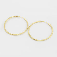 Load image into Gallery viewer, gold_plated_hoops_earrings