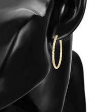 Load image into Gallery viewer, gold_plated_hoops_earrings