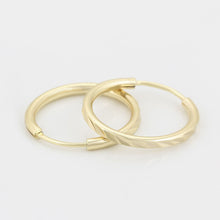 Cargar imagen en el visor de la galería, 14 K Gold Plated Hoops earrings