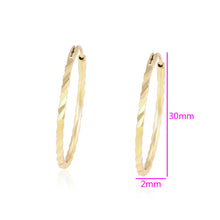 Cargar imagen en el visor de la galería, 14 K Gold Plated Hoops earrings