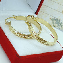Cargar imagen en el visor de la galería, 14 K Gold Plated hoop earrings - BIJUNET
