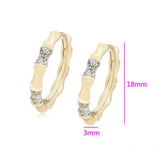 Load image into Gallery viewer, 14 K Gold Plated Hoop earrings with white zirconia - BIJUNET
