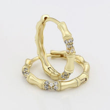 Load image into Gallery viewer, 14 K Gold Plated Hoop earrings with white zirconia - BIJUNET
