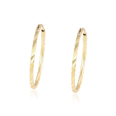 14 K Gold Plated Hoops earrings