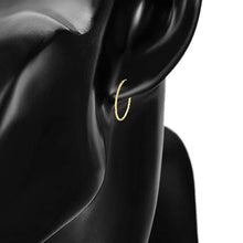 Cargar imagen en el visor de la galería, 14 K Gold Plated Hoops earrings

