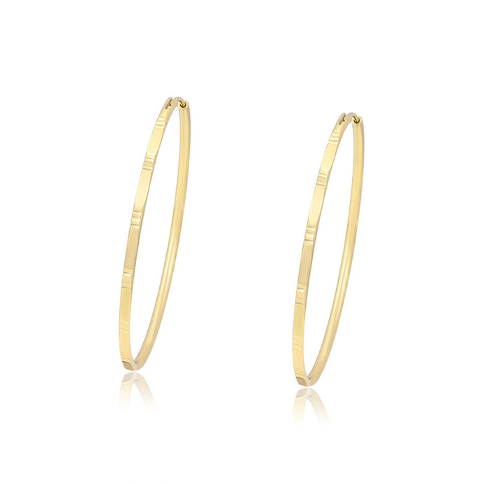 14 K Gold Plated Hoops earrings
