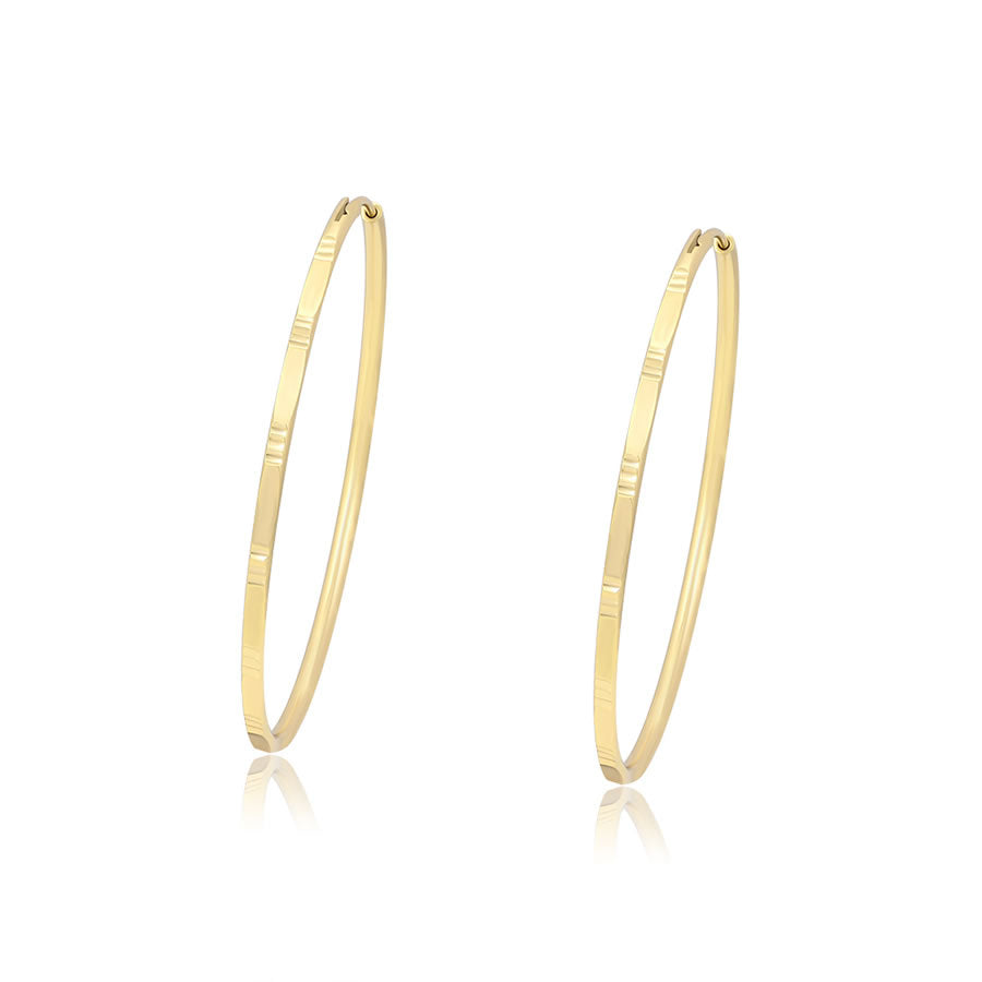14 K Gold Plated Hoops earrings