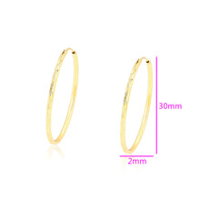 Cargar imagen en el visor de la galería, 14 K Gold Plated Hoops earrings
