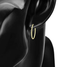 Cargar imagen en el visor de la galería, 14 K Gold Plated Hoops earrings
