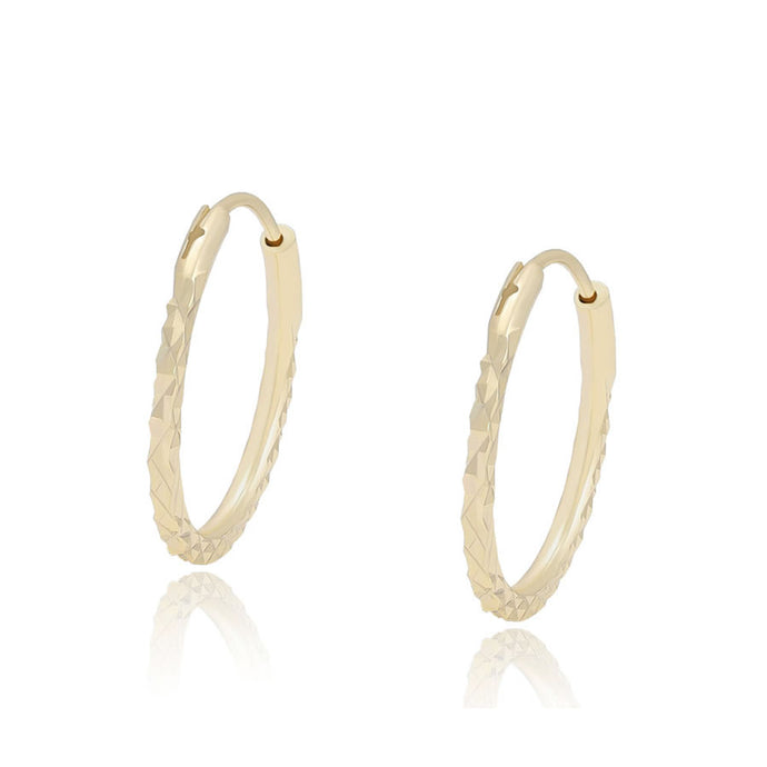 14 K Gold Plated Hoops earrings