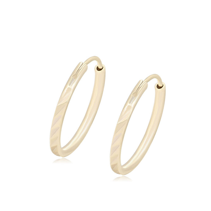 14 K Gold Plated Hoops earrings